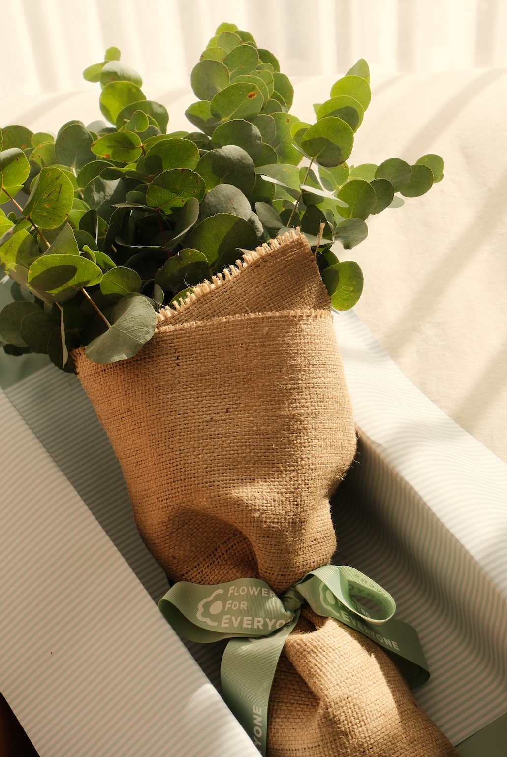 The Wellness Ritual eucalyptus bouquet wrapped in natural burlap with a soft green ribbon and rounded leaves for a calming gift