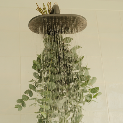 The Wellness Ritual eucalyptus bundle hanging beneath a rainfall shower for a calming spa inspired self care experience