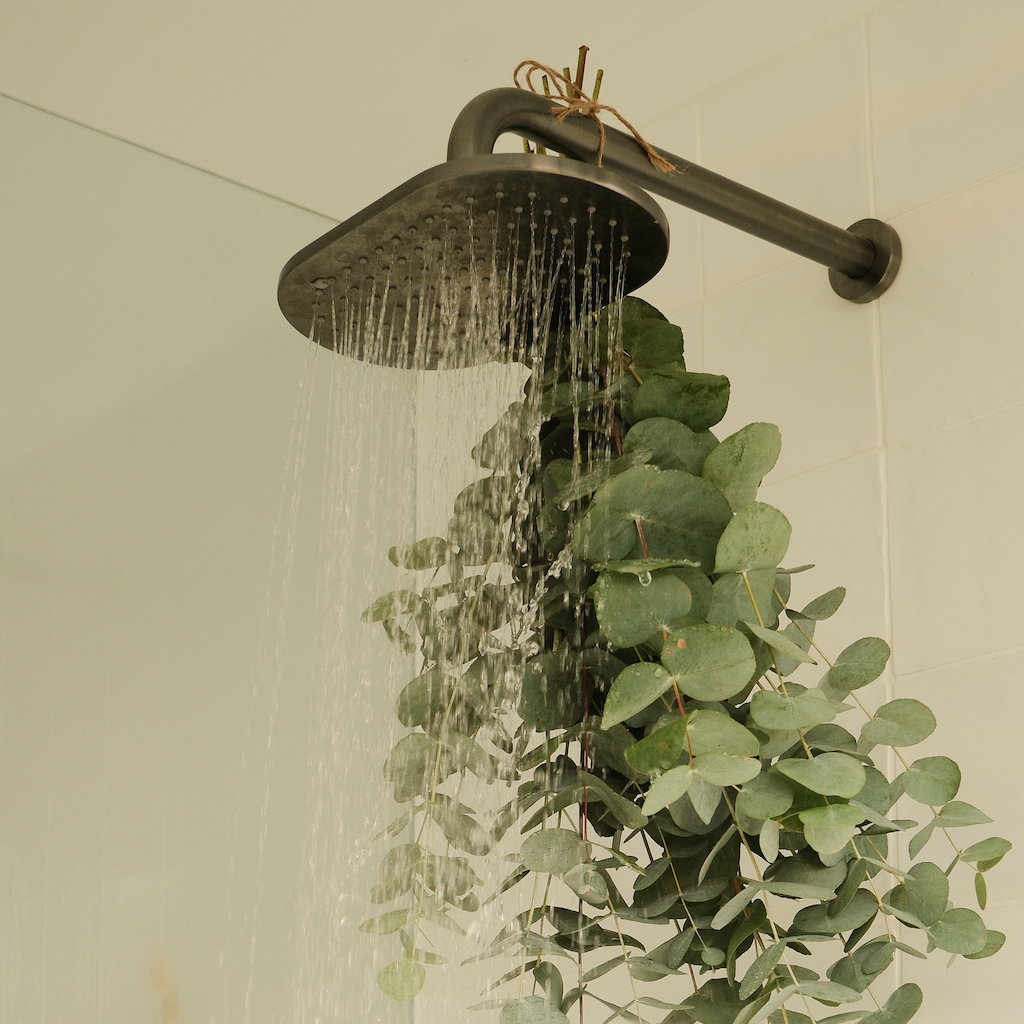 The Wellness Ritual eucalyptus leaves hanging beneath a running shower, creating a fresh spa inspired pamper gift atmosphere