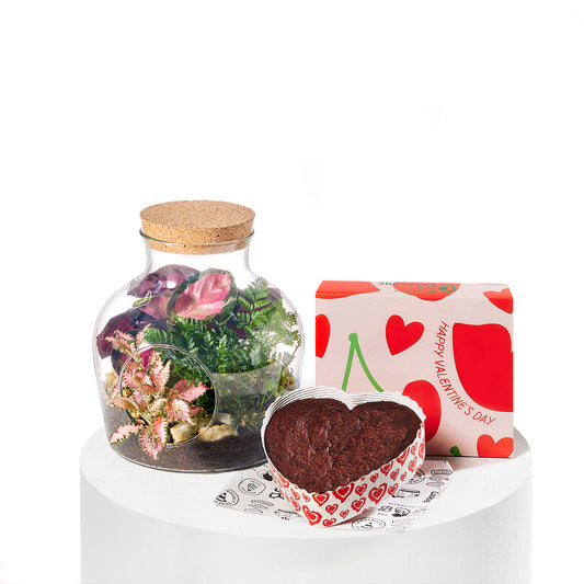 Terrarium and Brownie Pair