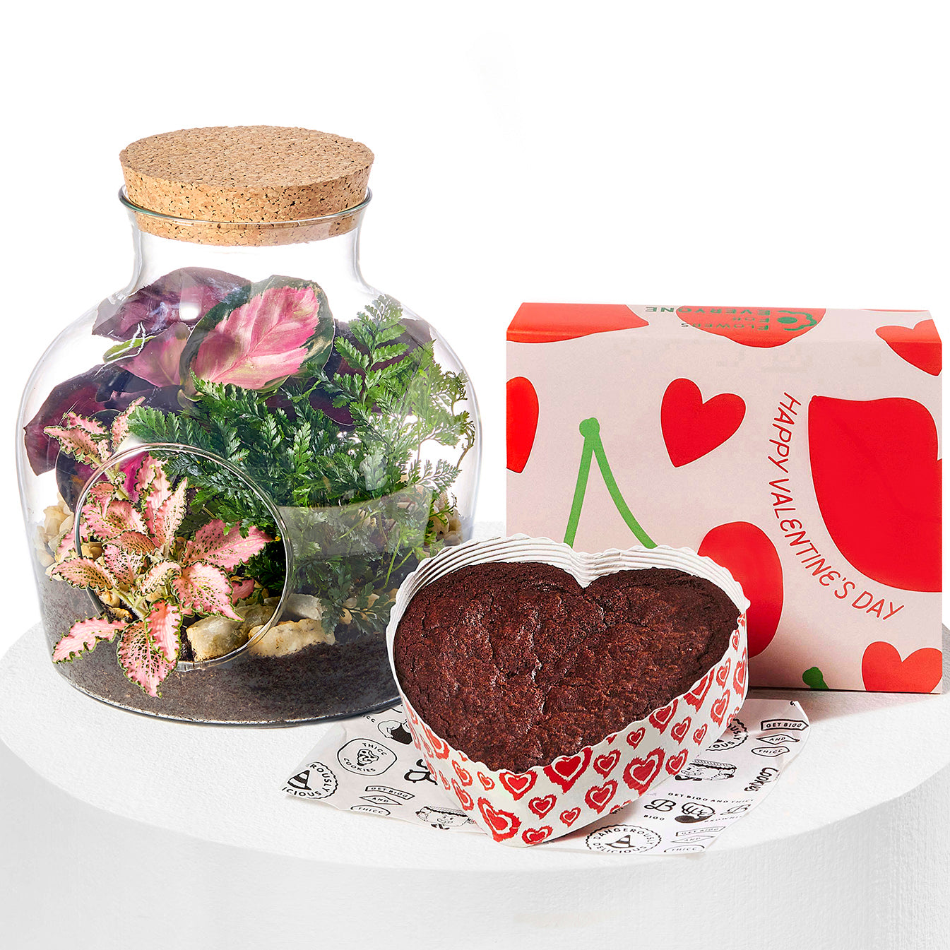 Terrarium and Brownie Pair