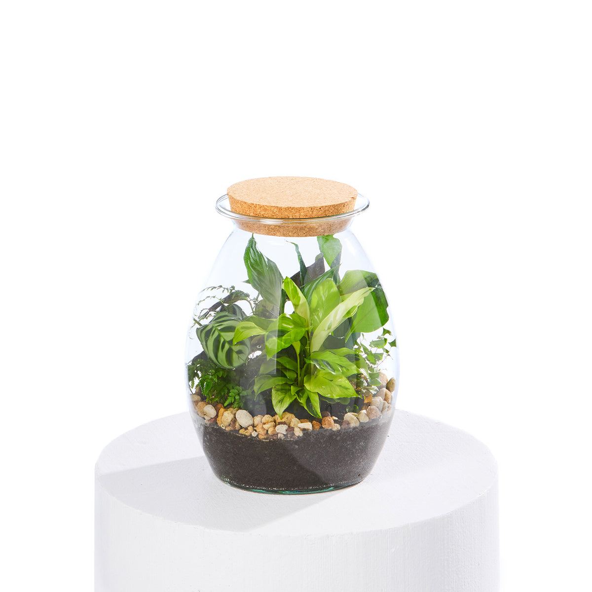 SECRET GARDEN TERRARIUM