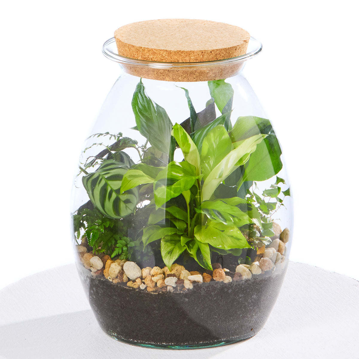 SECRET GARDEN TERRARIUM