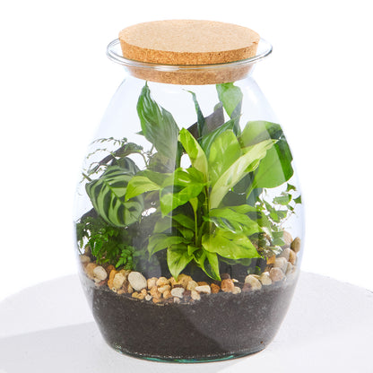 SECRET GARDEN TERRARIUM
