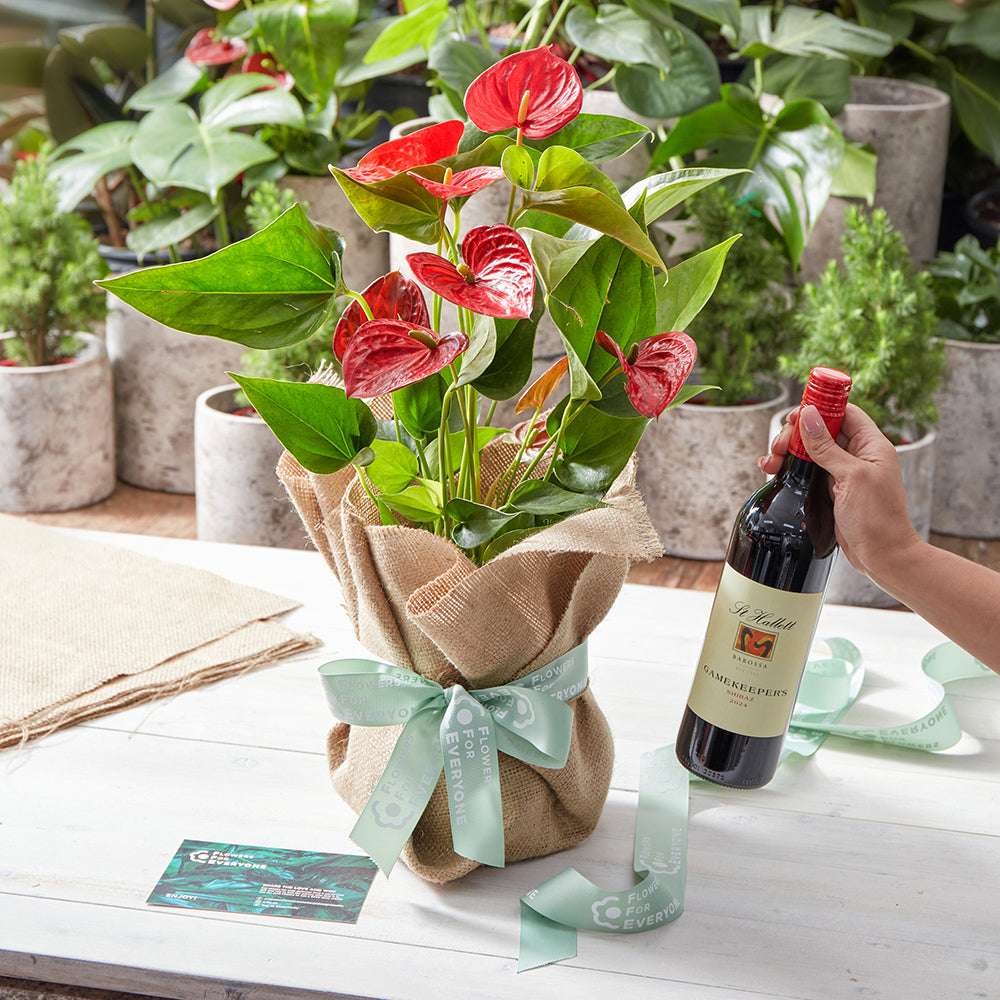 Christmas Anthurium & Wine Gift Set