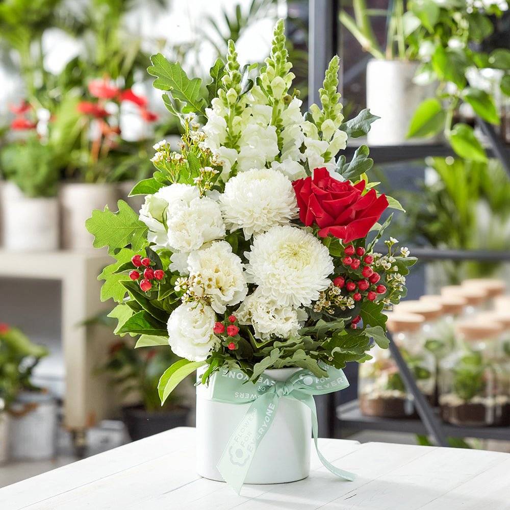 Christmas Red & White Pot