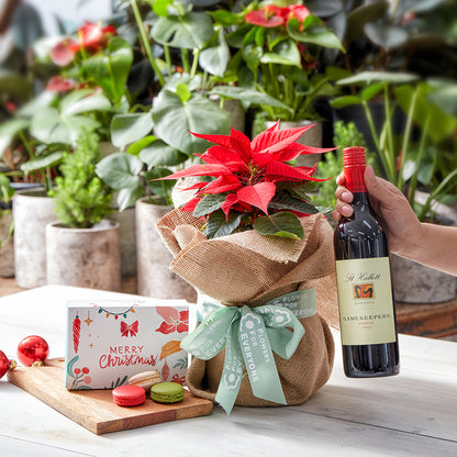 Holiday Poinsettia Treats Bundle