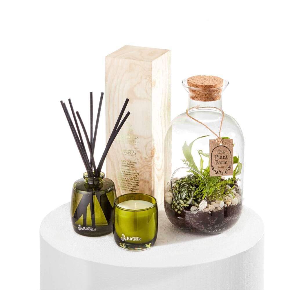 Body and Soul Terrarium Trio