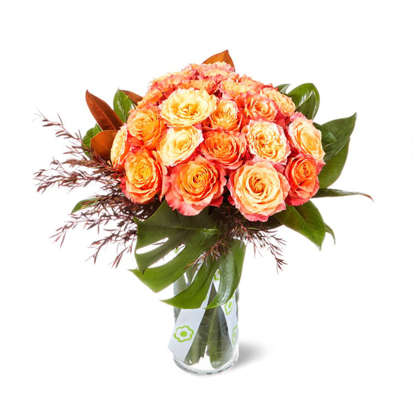 Free Spirit Rose Vase Flowers for Everyone