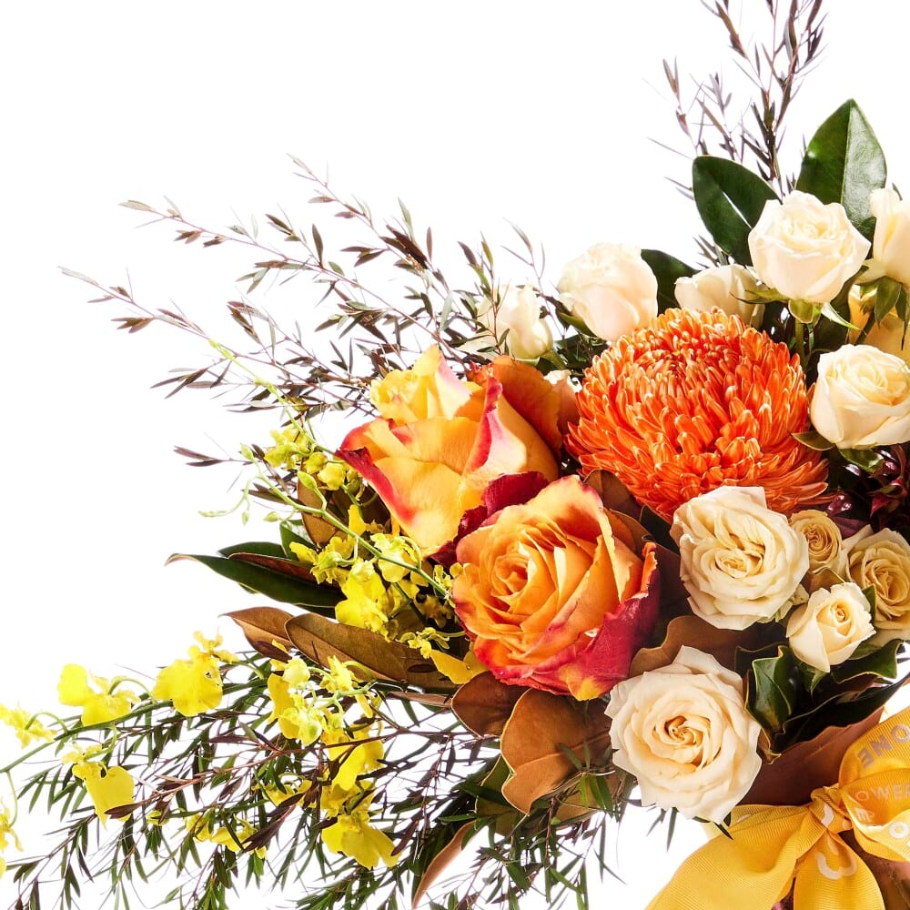 Golden Glow & Brownie