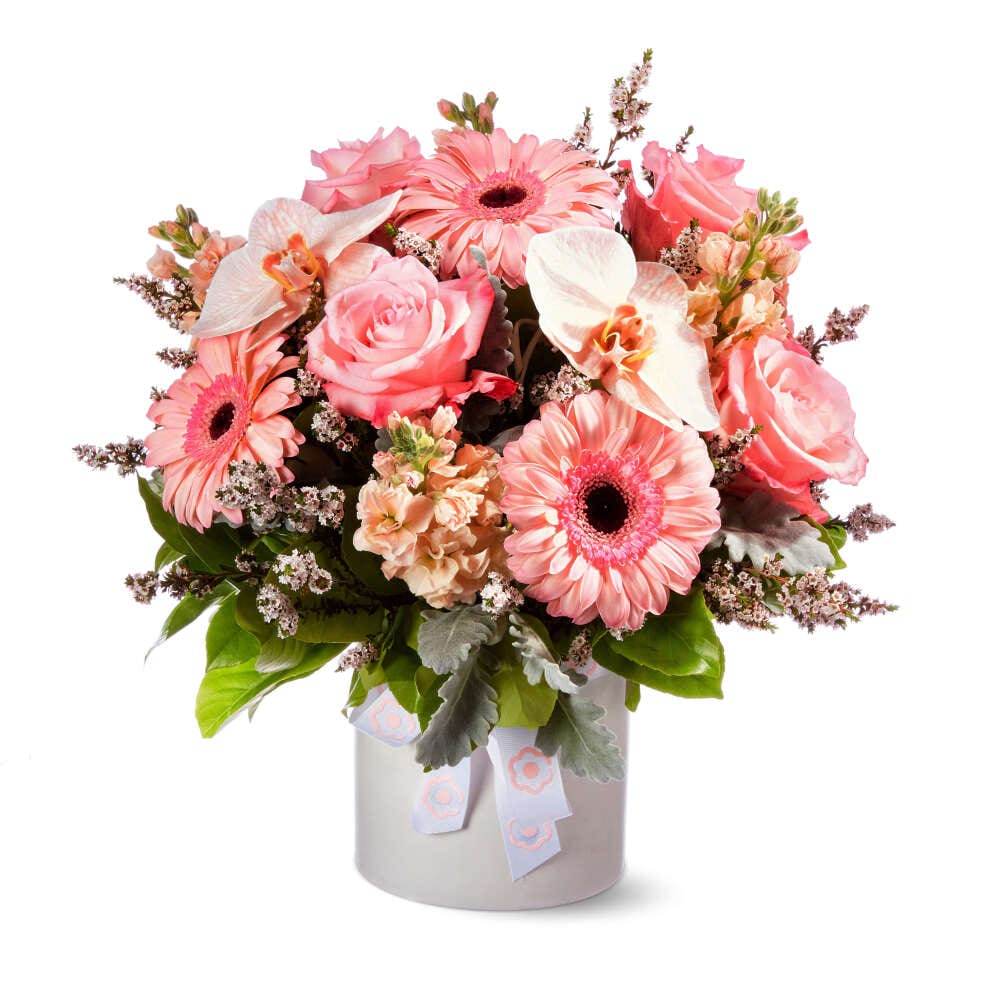 Oh Pretty Daisy Pot