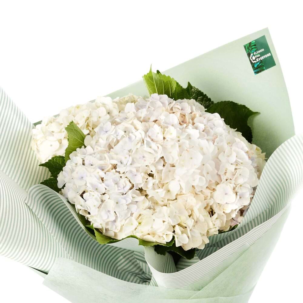 Hydrangea Heaven Bouquet