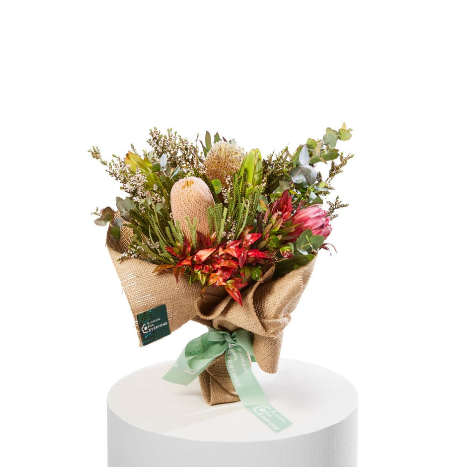 Australian Native Flowers Brisbane | Same Day Delivery | Flowers for ...