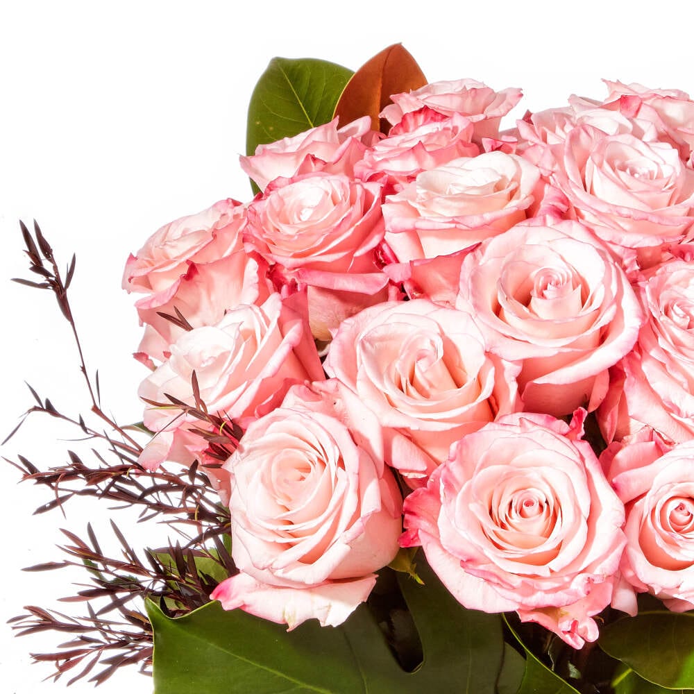 Pink Whisper Rose Vase