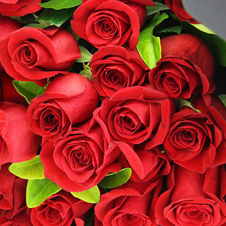 99 Red Roses