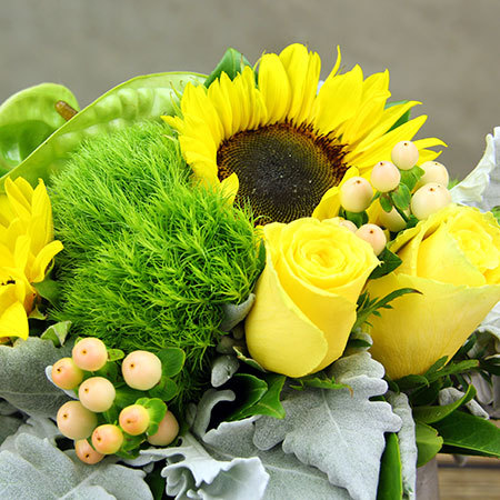 Sunshine Yellow Flowers