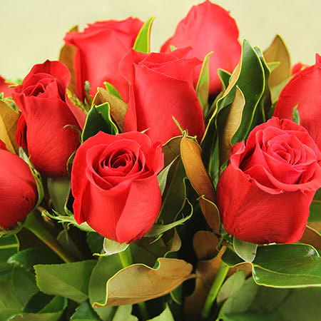 Lucky in Love Red Rose Vase