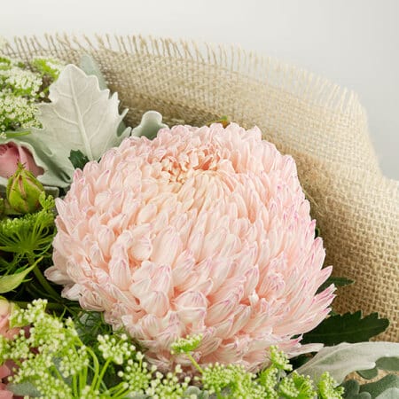 Pastel Pink Bouquet