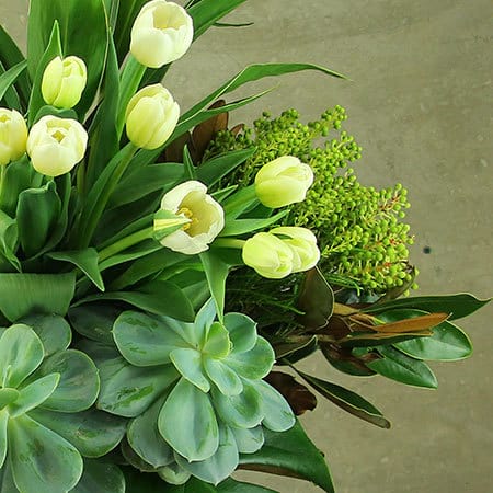 Fresh White Spring Vase with Tulips