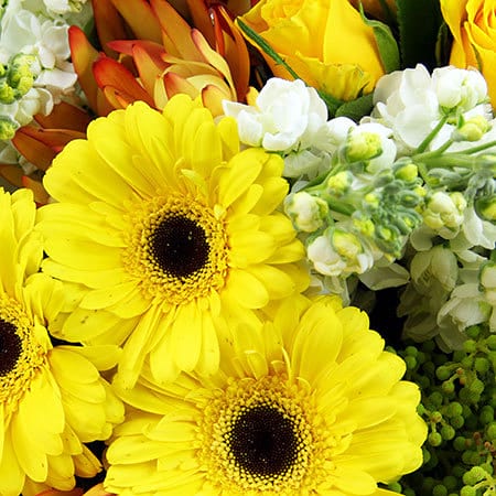 Bright Yellow Flower Bouquet