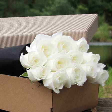 12 Long Stemmed White Roses