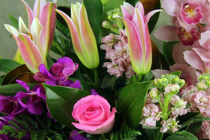 Our 2015 SPROUT Spring Flowers Online