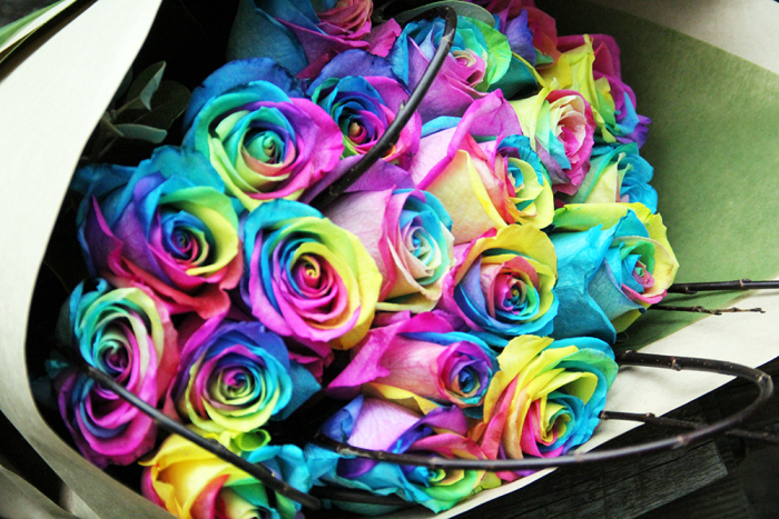 Are you a Rainbow Roses Person?