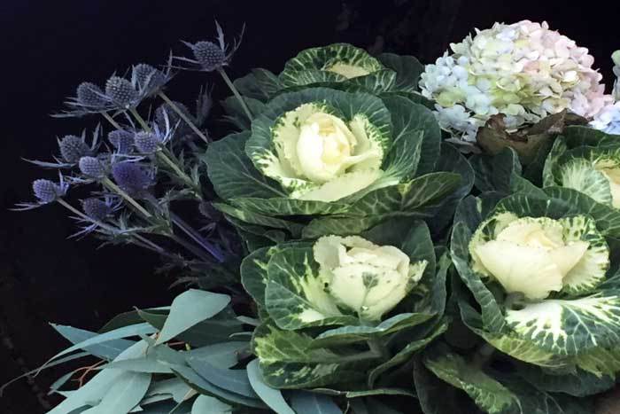 Florist Design Challenge: Ornamental Kale