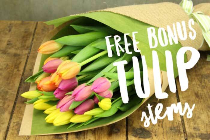 Tulip Bouquets are the Bomb!