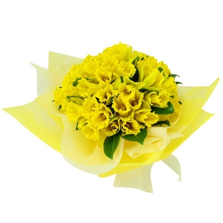 Daffodil Posy 