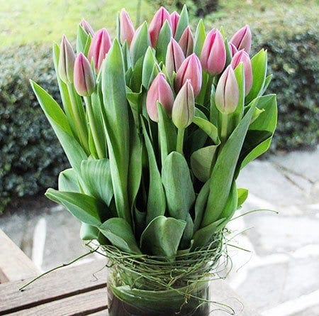 Tulips in Vase Flower Delivery