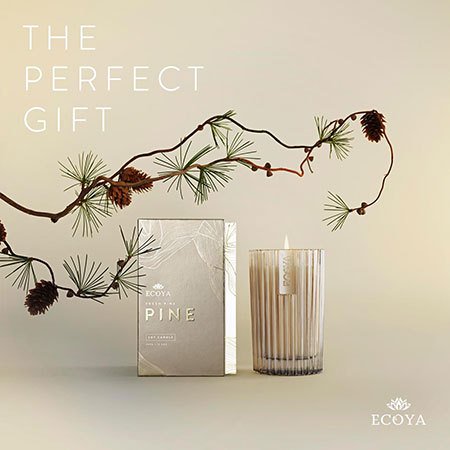 Ecoya Fresh Pine Needles Candle or Reed Diffuser