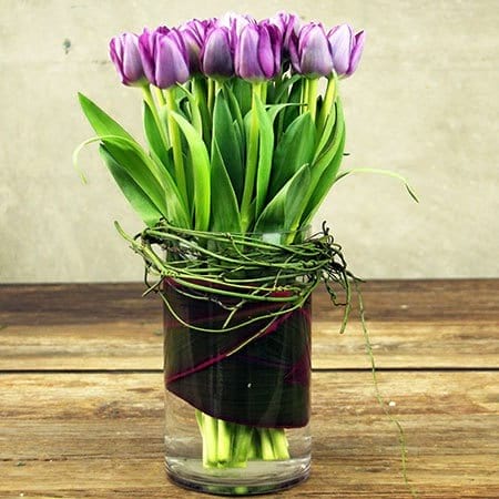 For Daring Mums Purple Tulips for Mothers Day