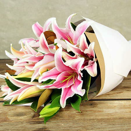 For Lily-Loving Mums