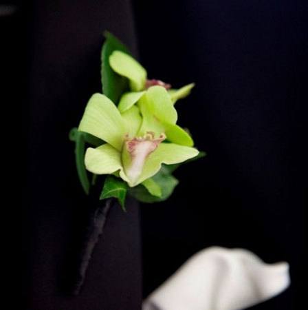 Green Singapore Orchid Buttonhole