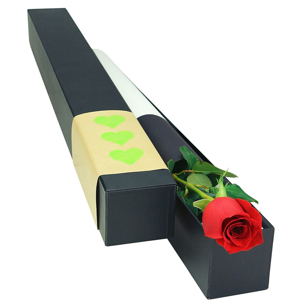 Single red rose stem for Valentine`s Day delivered in black presentation box.