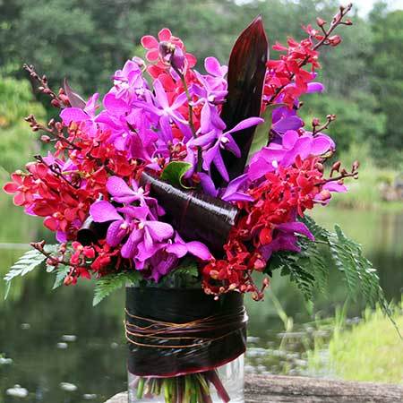 Bright orchids in vase