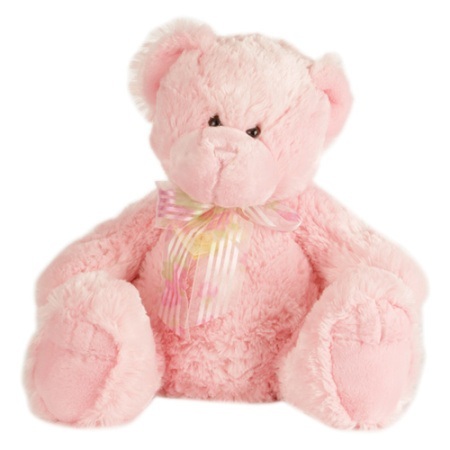 Medium Pink Teddy ( 22cm )