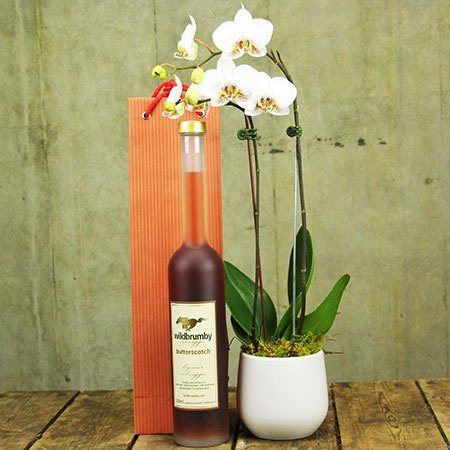 Orchid and Butterscotch Schnapps (Sydney Only)