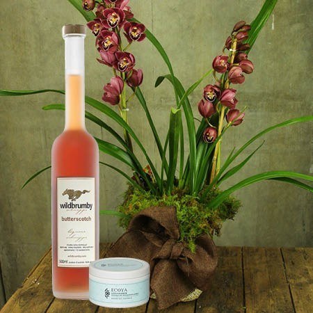 Orchid and Wild Brumby Schnapps