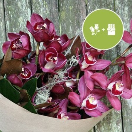 Orchids & Free Hot Choc