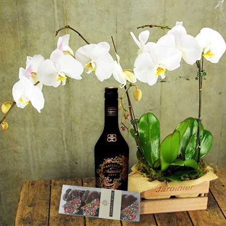 Orchids, Liqueur and Easter Bunnies (Sydney Only)