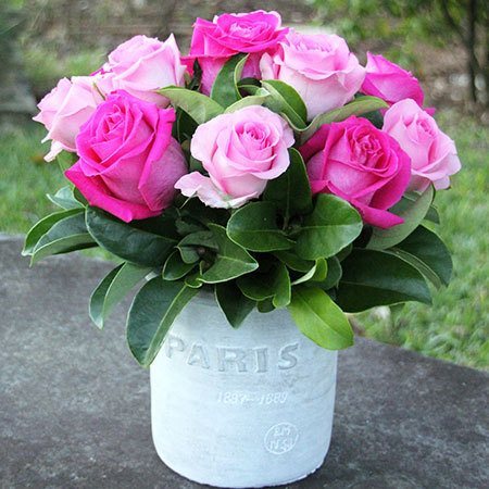 Paris Pink Roses in a White Pot
