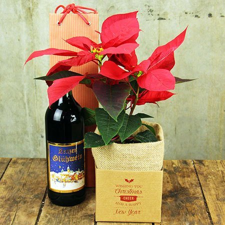Poinsettia and Aromatic Wine (Sydney Only)