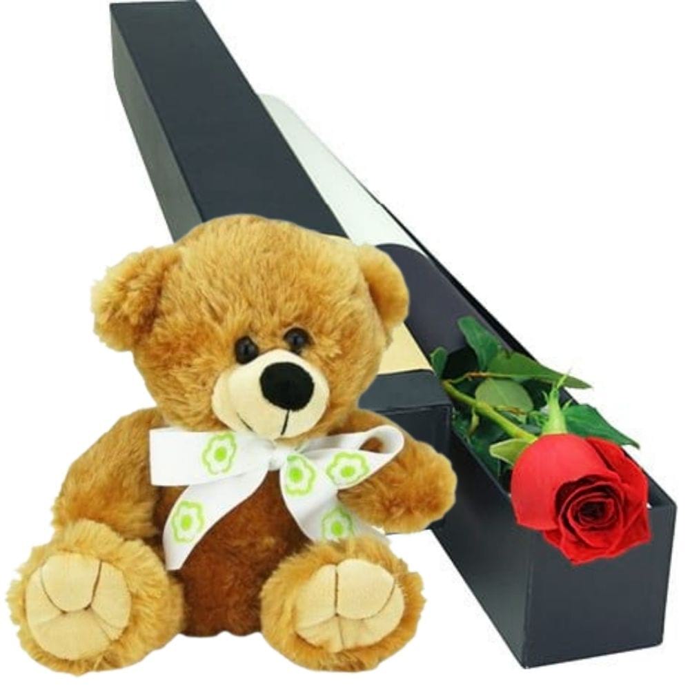 Single Red Rose and Teddy