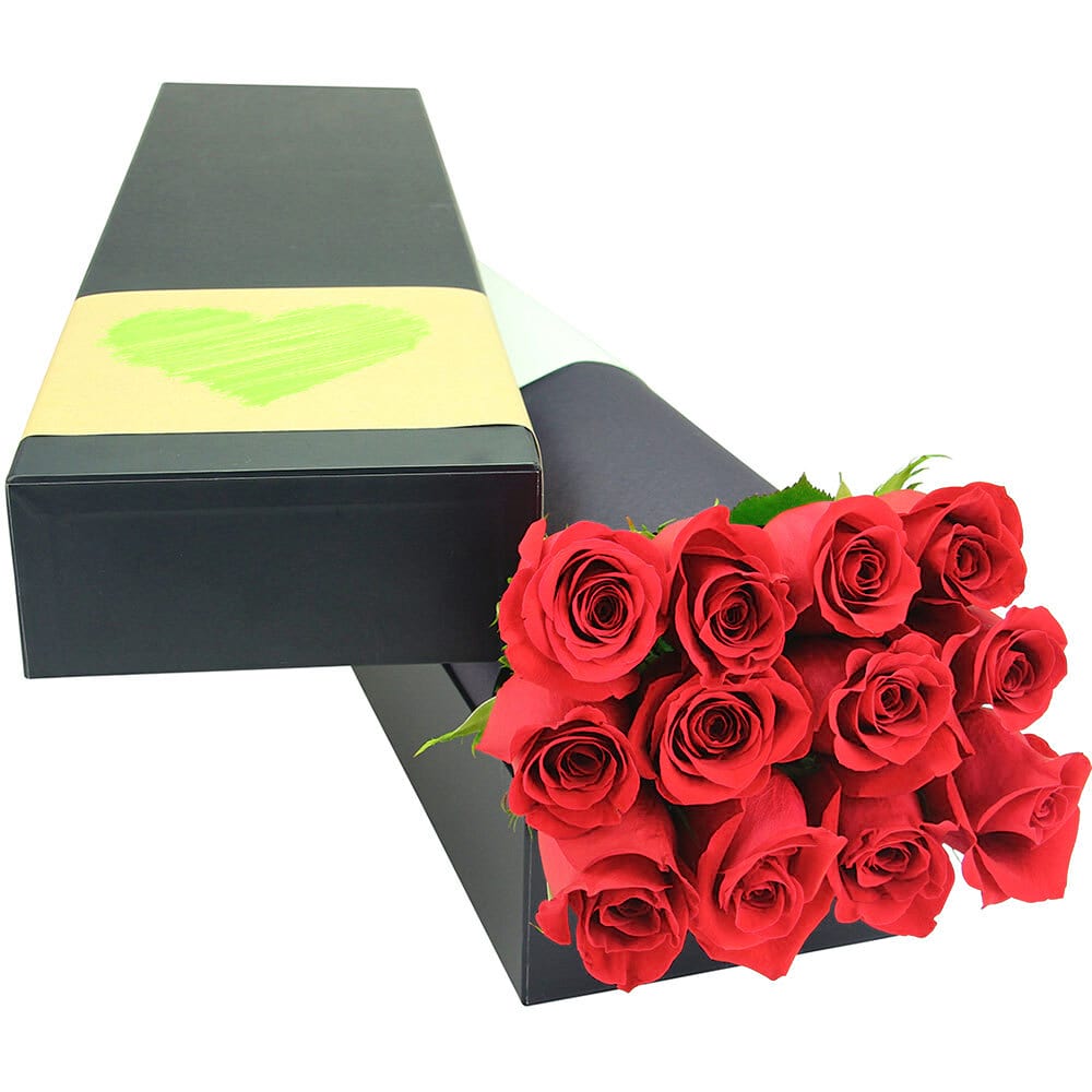 12 Long Stem Red Roses for Valentine`s Day