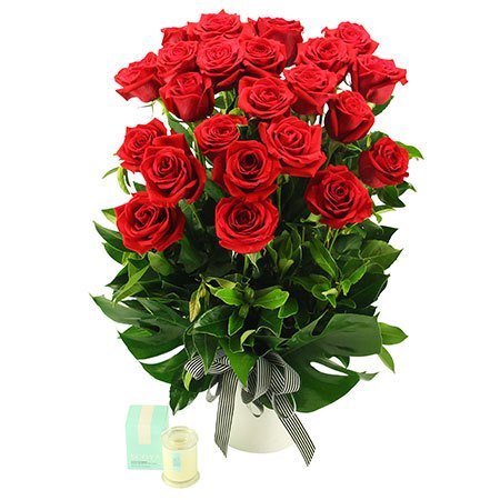 Madame in Red - 24 Long Stem Red Roses (Sydney Only)
