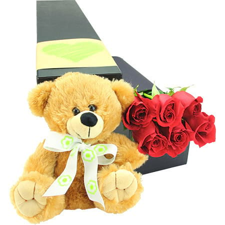 6 Long Stem Red Roses with Love Bear (PERTH  Only)