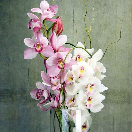 Winter Orchids in Vase 