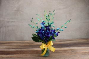 HOS-SOBLUEJAR - Singapore Orchids Blue Jar